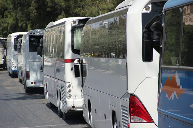 3 Golden Rules for School Bus Fleet Management Efficiency