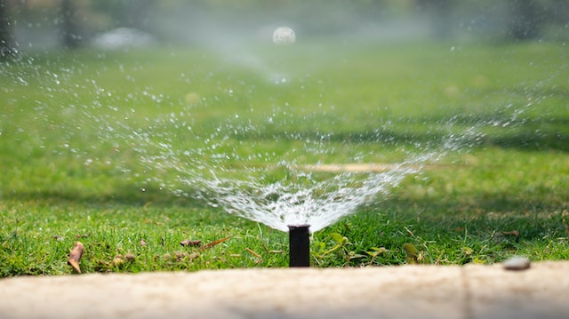 The Benefits of Professional Irrigation Services