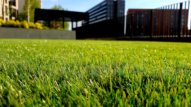 Eco-Friendly Lawn Care: Sustainable Practices for a Greener Yard
