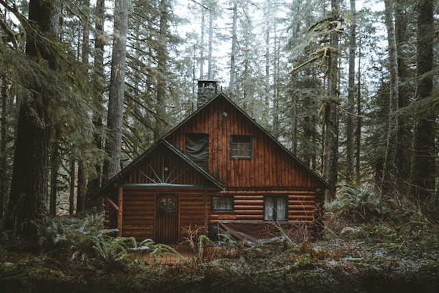 Beyond Rustic Charm: Modern Amenities You’ll Find in Today’s Cabins